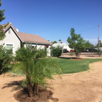 Moon Valley Nurseries - My new Pygmy Palm, jacaranda, and mesquites! - Nurseries & Gardening Near Me - Phoenix, Arizona Moon Valley Nurseries - My new Pygmy Palm, jacaranda, and mesquites! - Nurseries & Gardening Near Me - Phoenix, Arizona
