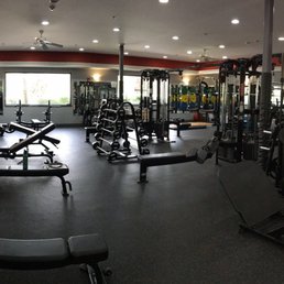 Free weights