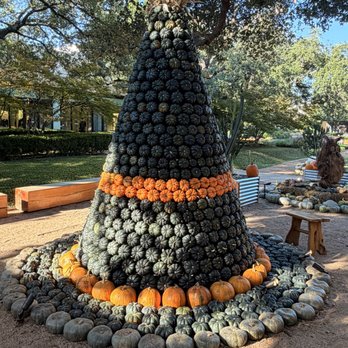 NorthPark Center - Pumpkin Witch Hat - Shopping Centers Near Me - Dallas, Texas NorthPark Center - Pumpkin Witch Hat - Shopping Centers Near Me - Dallas, Texas