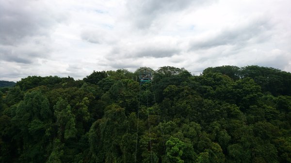 Mega Adventure - Singapore by null