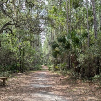 Cedar Point Preserve - Bench for reflection and rest - Hiking Near Me - Jacksonville, Florida Cedar Point Preserve - Bench for reflection and rest - Hiking Near Me - Jacksonville, Florida