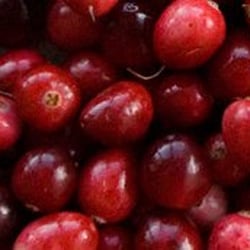 In Season