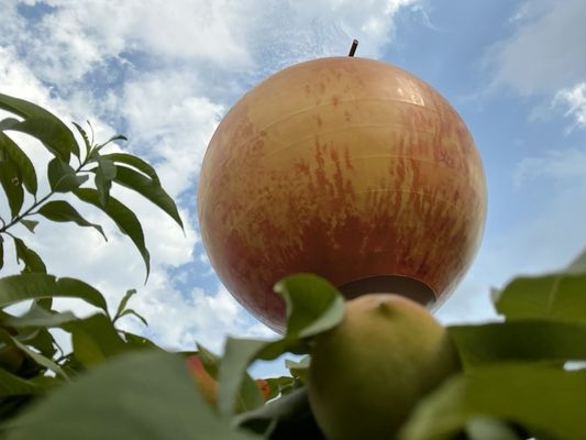 Peachoid by null