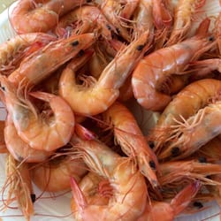 Annual Biloxi Seafood Festival - September - Boiled shrimp $7