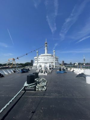 SS Rotterdam by null