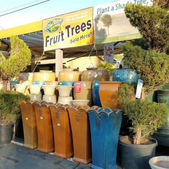 The Greenery Nursery - Nurseries & Gardening Near Me - Turlock, California The Greenery Nursery - Nurseries & Gardening Near Me - Turlock, California