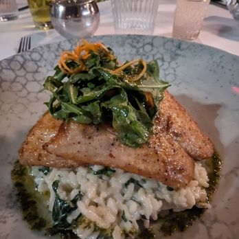 Sogno Wheaton - Sea bass risotto special - A seafood dish with a seared fish fillet served on risotto, topped with sautéed greens and shredded vegetables, presented on a decorative plate. - Italian Near Me - Wheaton, Illinois