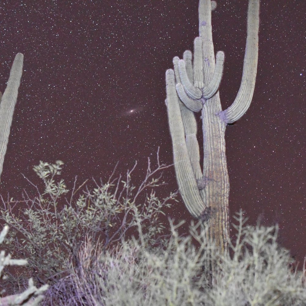Tonto National Forest - Starry, moonless night in Tonto Nat'l Forest - Parks Near Me Tonto National Forest - Starry, moonless night in Tonto Nat'l Forest - Parks Near Me