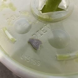 First piece I noticed