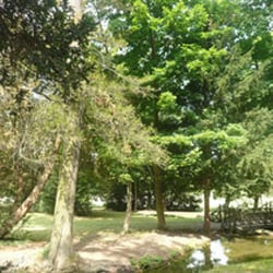 Parc de Bois-Préau