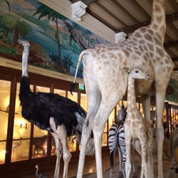 Muséum d'Histoire Naturelle