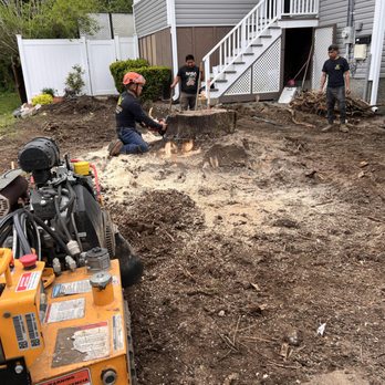 Lopez Brother’s Landscaping & Tree Services - Tree Services Near Me - Lynn, Massachusetts Lopez Brother’s Landscaping & Tree Services - Tree Services Near Me - Lynn, Massachusetts