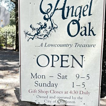 Angel Oak - Parks Near Me - Johns Island, South Carolina Angel Oak - Parks Near Me - Johns Island, South Carolina