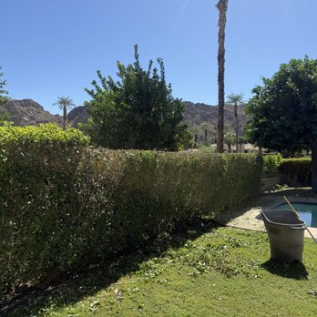Zgza Landscaping - Bush Trim. - Landscaping Near Me - Mecca, California