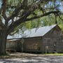 Photo of Micanopy