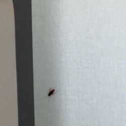 Holiday Inn Express & Suites Bourbonnais East - Bradley - Yuck . . . video version has it moving.