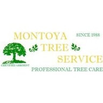 Montoya Tree Service - Tree Services Near Me - Glenview, Illinois