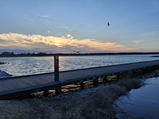 Shelby Farms Park by null