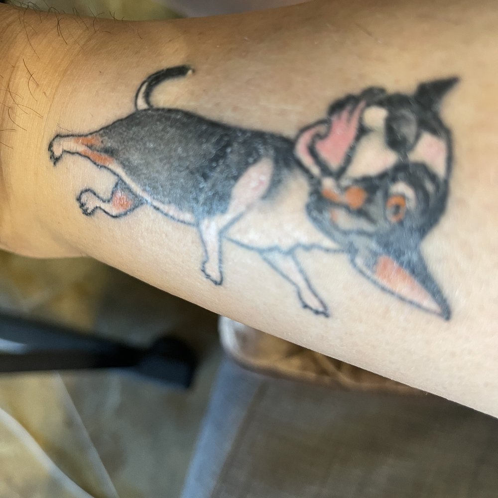 Bad chihuahua design