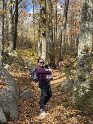 Harriman State Park by null