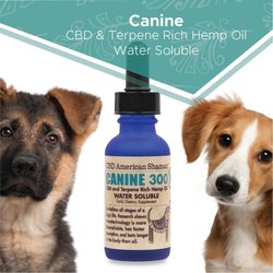 CBD American Shaman of Downtown Waco - CBD Pet Products
