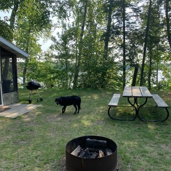 SandHaven Resort  - Outside area and resort dog - Resorts Near Me - Deer River, Minnesota