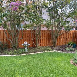 a garden with a fence and a birdbath