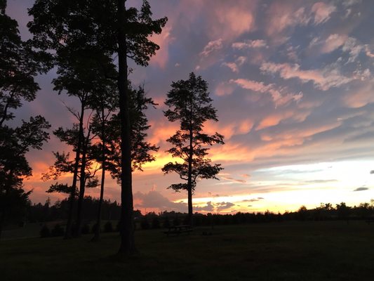 Cherry Springs State Park by null