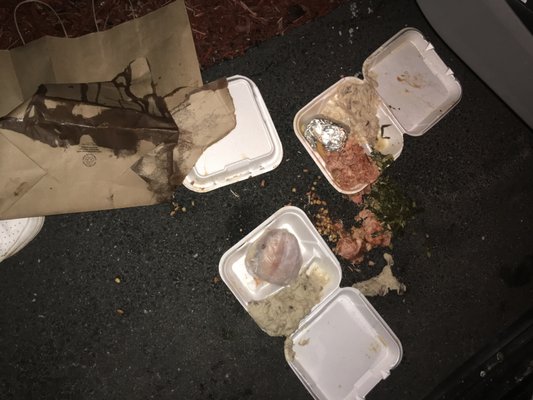 Blue Ribbon BBQ by null