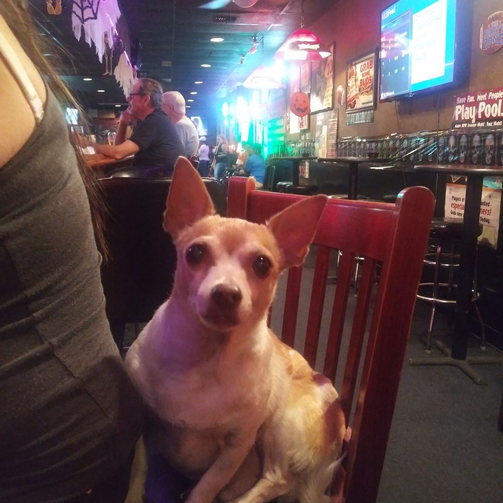 The Pit Stop Pub - Dive Bars Near Me - Tampa, Florida