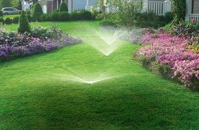 “Your Dream Yard Is Just One Call Away.” - At J&J Property Solutions, we provide reliable, high-quality property services designed to keep your home and business looking its best year-round. We specialize in lawn care, landscaping, sprinkler system service, seasonal cleanups, and property maintenance, delivering dependable results you can count on. “Your Dream Yard Is Just One Call Away.” - At J&J Property Solutions, we provide reliable, high-quality property services designed to keep your home and business looking its best year-round. We specialize in lawn care, landscaping, sprinkler system service, seasonal cleanups, and property maintenance, delivering dependable results you can count on.
