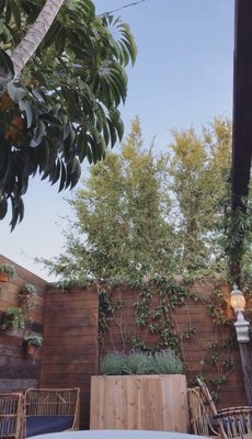 Cannabis Cafe by null