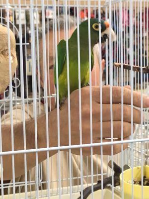 Carol's Pet Center by null