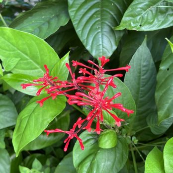 Hike Maui - Maui Beauty! - Tours Near Me - Kahului, Hawaii Hike Maui - Maui Beauty! - Tours Near Me - Kahului, Hawaii