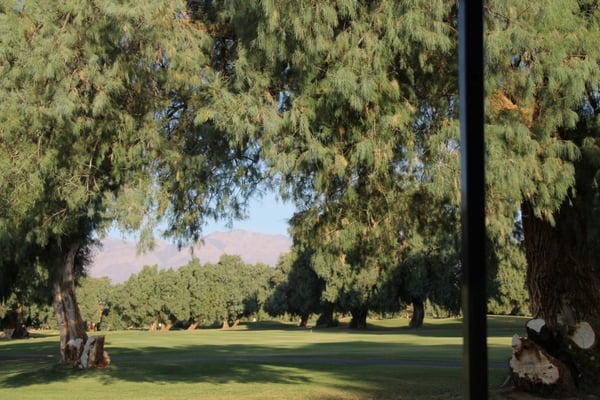 Furnace Creek Ranch Golf Course by null