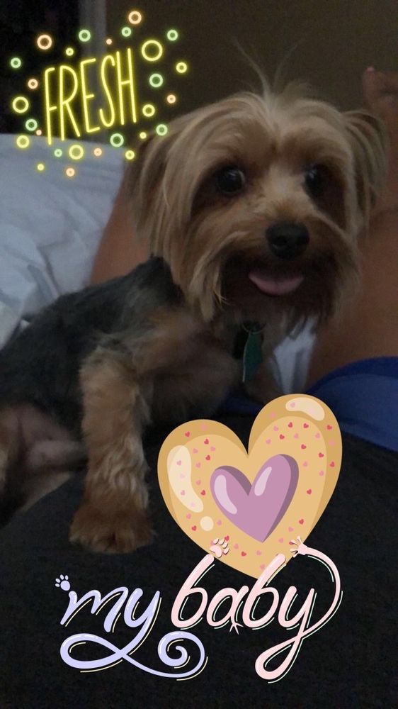 BONZ & HARMONY Updated September 2024 2921 Dieter, El Paso