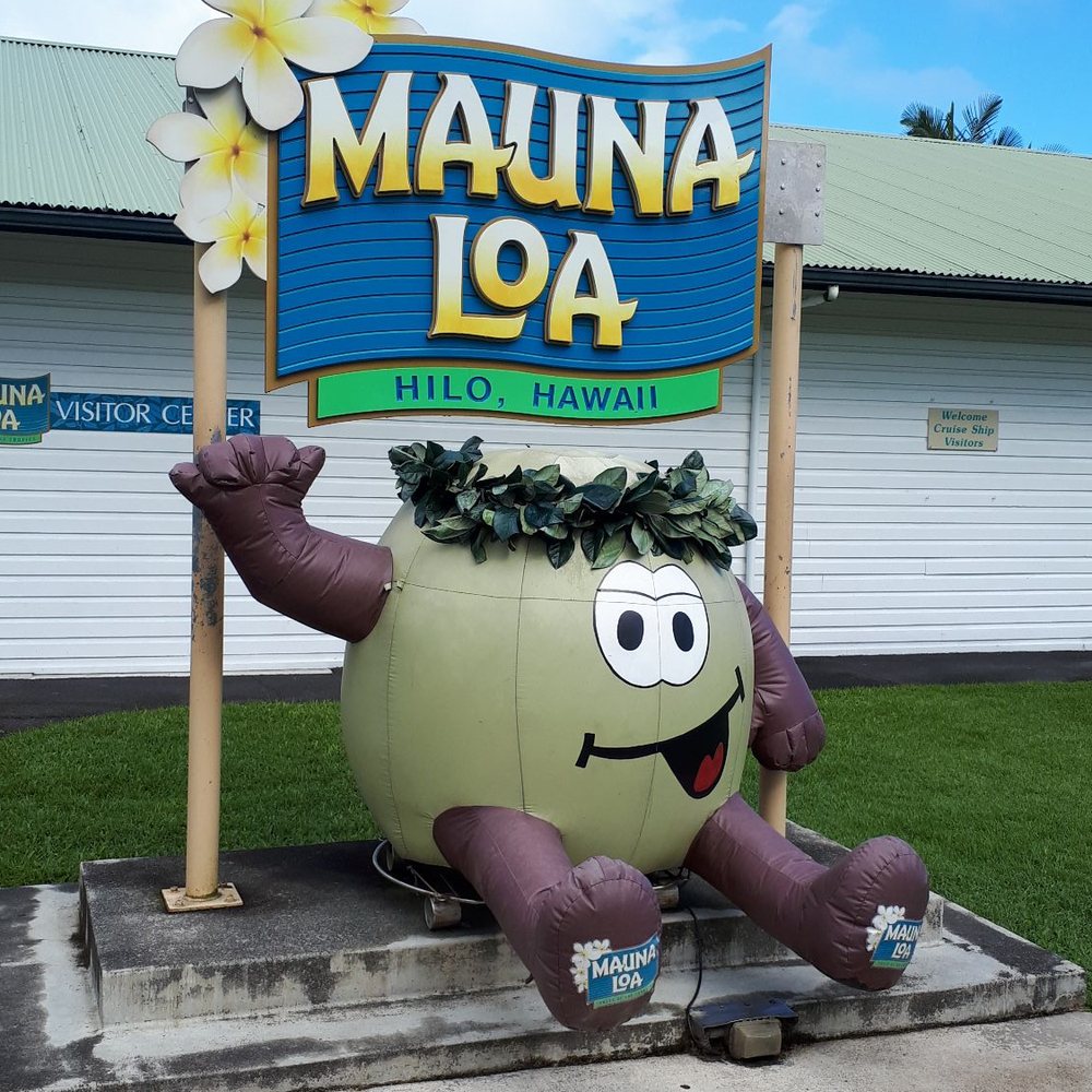 Mauna Loa Macadamia Nut - Chocolatiers & Shops Near Me - Keaau, Hawaii Mauna Loa Macadamia Nut - Chocolatiers & Shops Near Me - Keaau, Hawaii