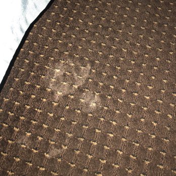 Days Inn by Wyndham Dubuque - White stains on carpet. GROSS - Hotels Near Me - Dubuque, Iowa