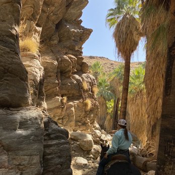Smoke Tree Stables - Horseback Riding Near Me - Palm Springs, California