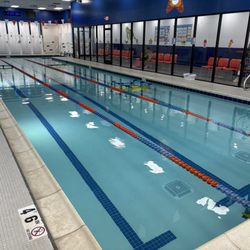 Water Wings Swim School - La Verne