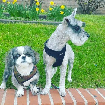 Posh Pooch - Pet Groomers Near Me - Woodside, New York