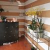 Wellness Spa gift card