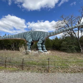 Dinosaur Park - Diplodocus - Amusement Parks Near Me - Cedar Creek, Texas