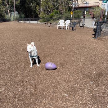 Pacheco Dog Park - Theres ample seating: benches and Adirondack chairs, and Herman Miller Aerob chairs with lumbar support.  the extravagance! - Dog Parks Near Me - Santa Cruz, California