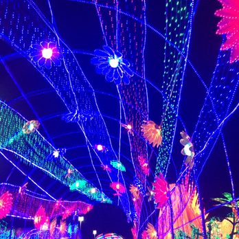 Hello Panda Festival - Festivals Near Me - Corona, New York
