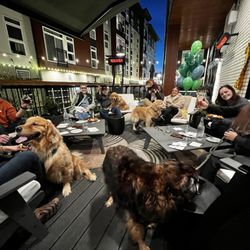 Jackson House - We love our dog (and people) neighbors!