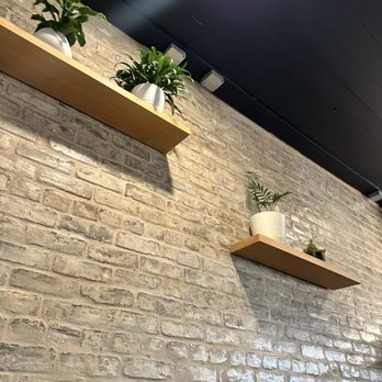 Bearcat CBD - Coffee & Tea Near Me - New Orleans, Louisiana Bearcat CBD - Coffee & Tea Near Me - New Orleans, Louisiana