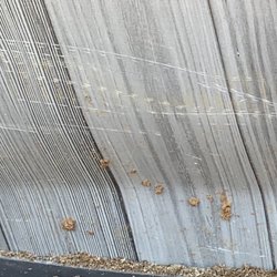 Pool & Spa Depot - Shovel scrapes from worker trying to level pool full of water. And collapsing sidewall
