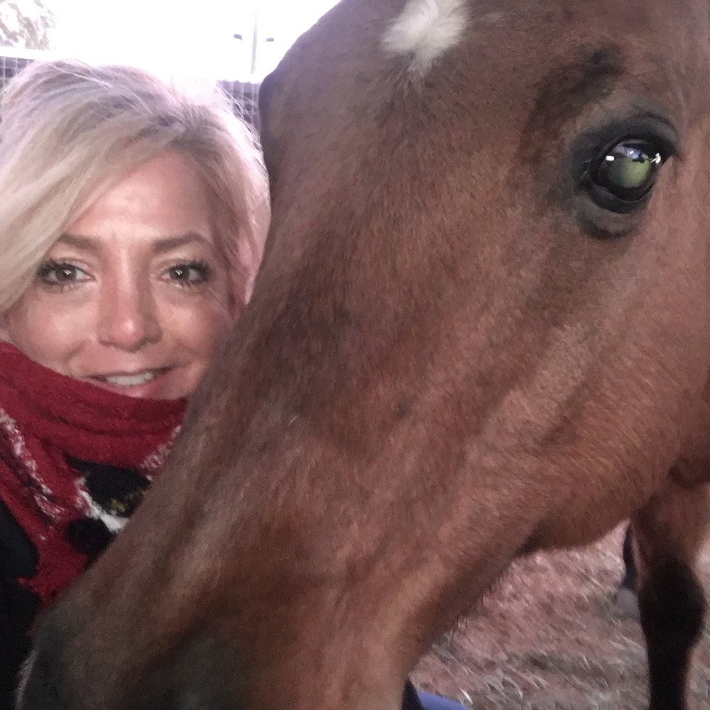 Spirit the horse uplifts my 'spirit' . Spirit the horse uplifts my 'spirit' .