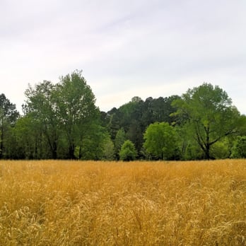 McDaniel Farm Park - Through one of those hidden trails - Parks Near Me - Duluth, Georgia